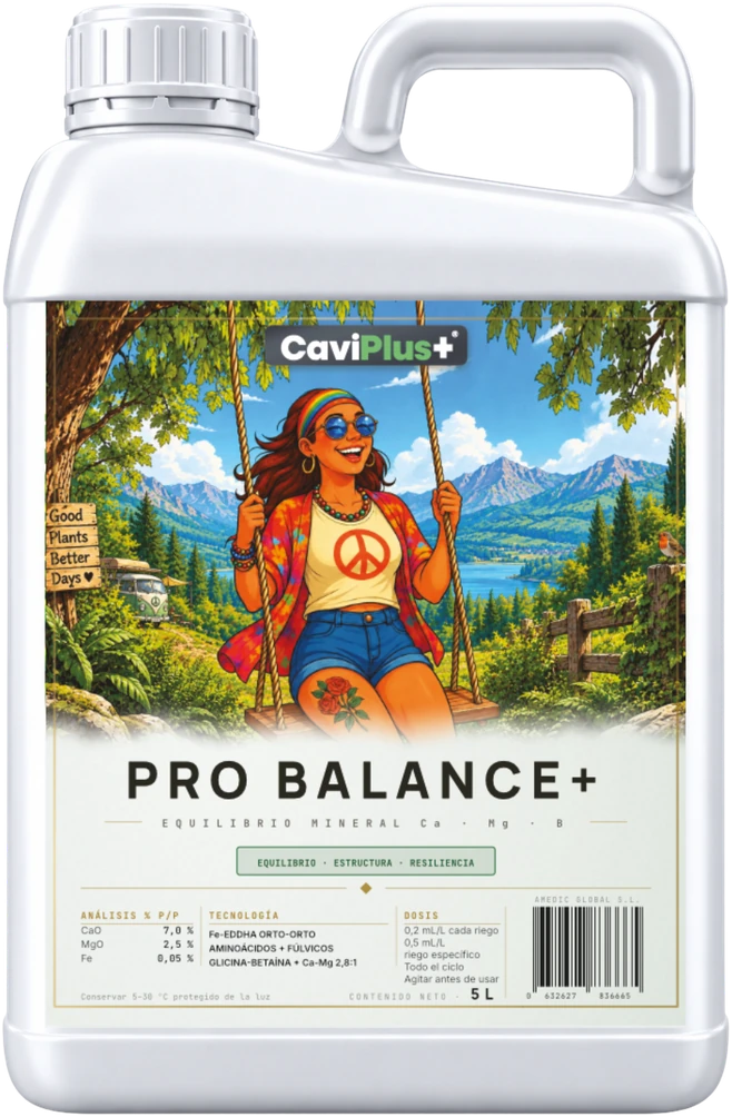 Pro Balance+