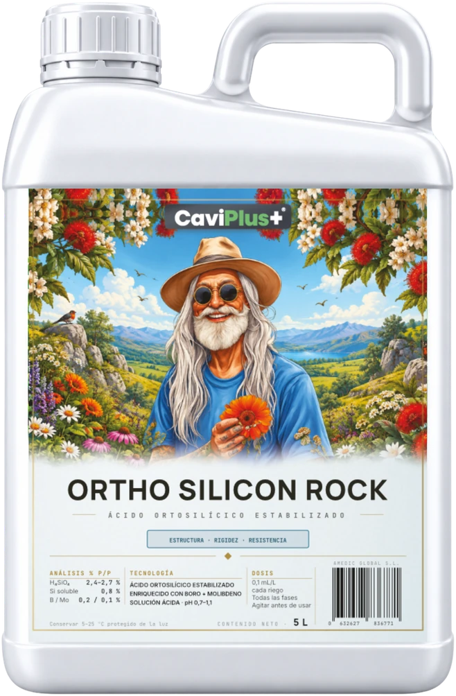 Ortho Silicon Rock