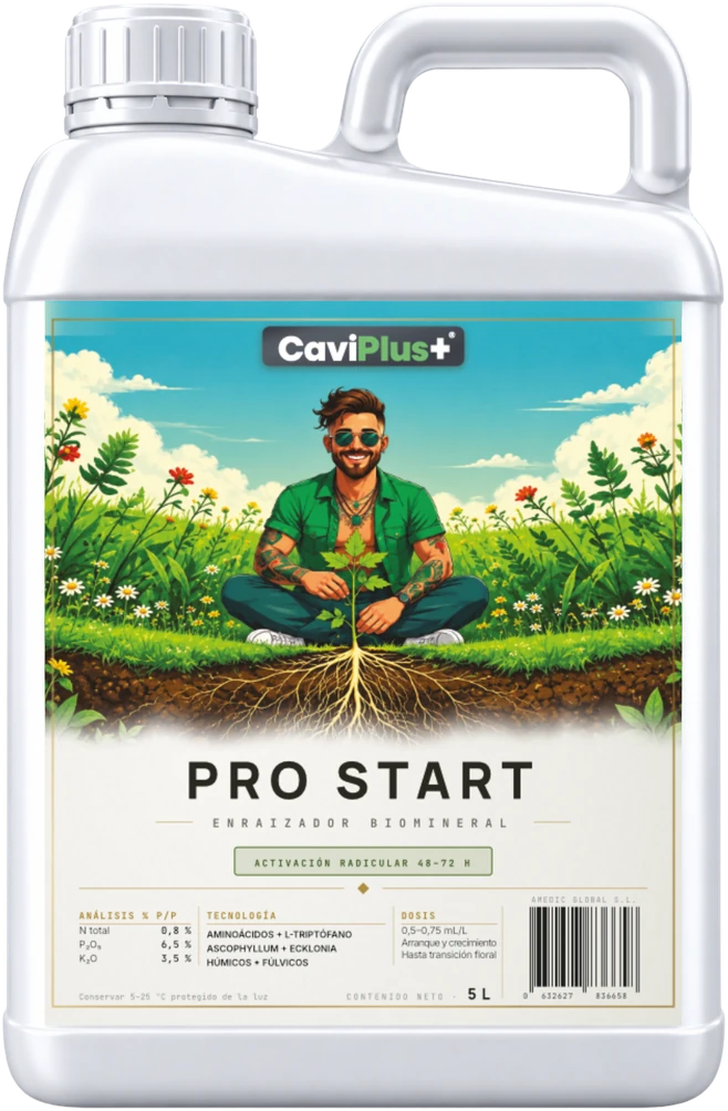 Pro Start+