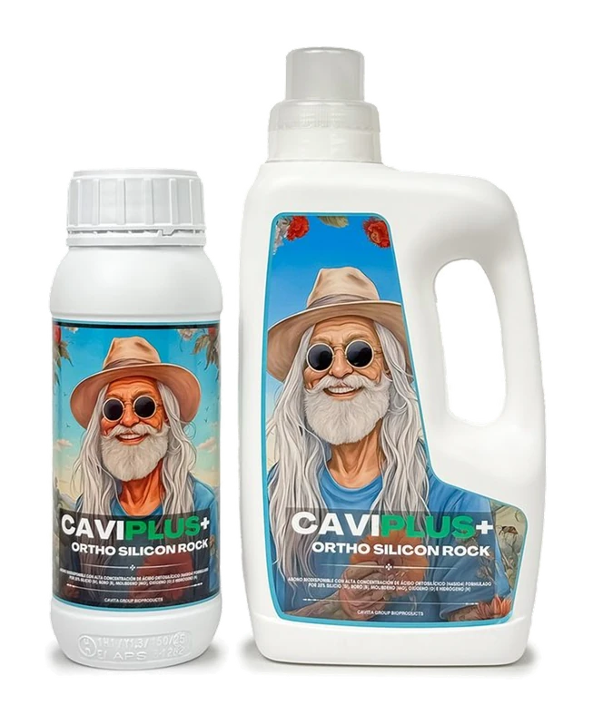 CaviPlus+ Ortho Silicon Rock · formatos comerciales