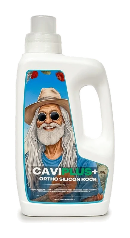 CaviPlus+ Ortho Silicon Rock · envase 1 L